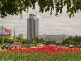 В Татарстане ожидается гроза и сильный ветер порывами до 15-20 м/с