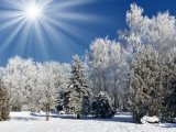 23 гыйнварга һава торышы фаразы