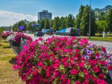 Прогноз погоды на 15 июля