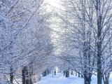 Погода в Набережных Челнах на 27 января