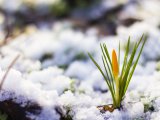 Похолодание до -12˚ прогнозируется в Набережных Челнах