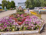 «Чәчәкләр фестивале - 2022»: шәһәрнең иң яхшы бизәлгән ишегалды һәм башкалар