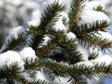 Прогноз погоды в Набережных Челнах на 23 декабря