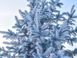 Погода в Набережных Челнах на 7 февраля