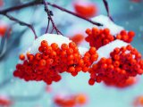 Прогноз погоды на 6 января