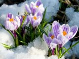 Прогноз погоды на 12 марта