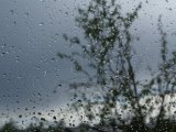 Небольшой дождь прогнозируют в Набережных Челнах
