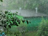 Ливень, гроза, сильный ветер ожидаются в Набережных Челнах