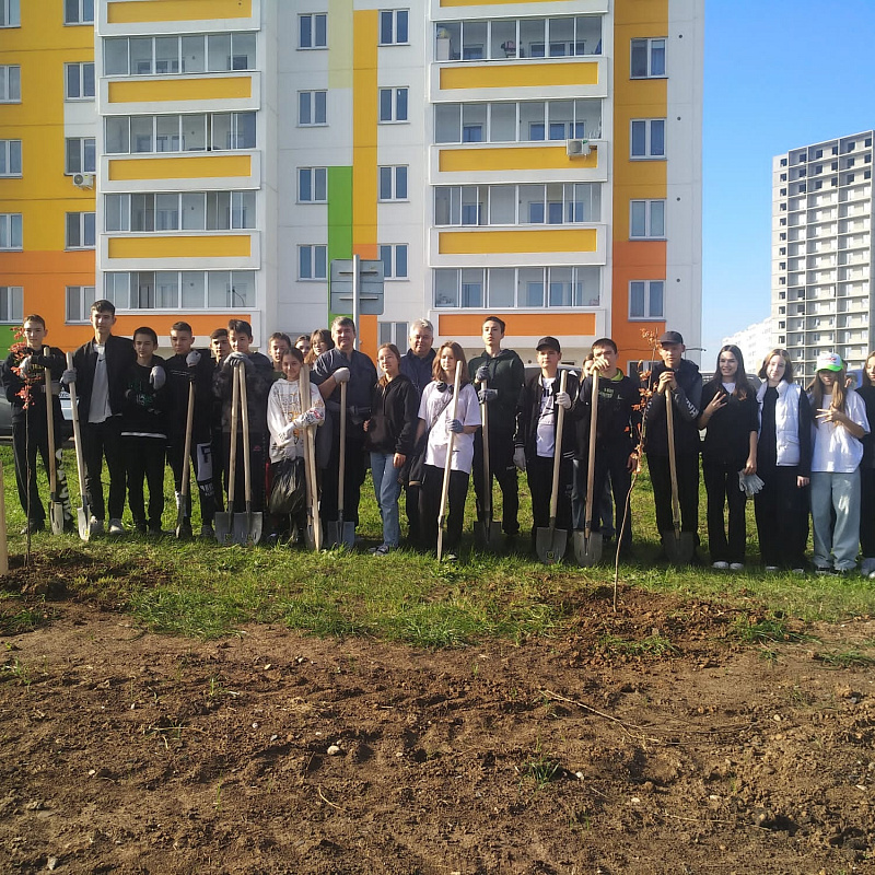 Сегодня в автограде высадили 862 деревьев и кустарников