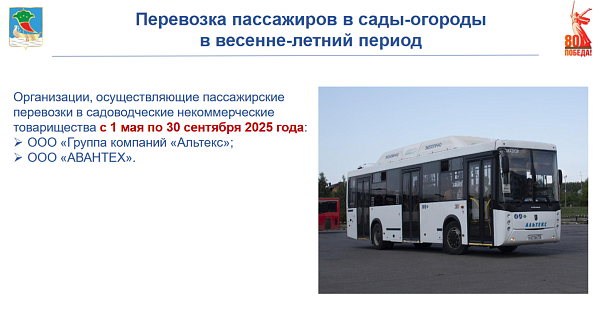 Сколько маршрутов будут курсировать между Челнами и садовыми обществами?