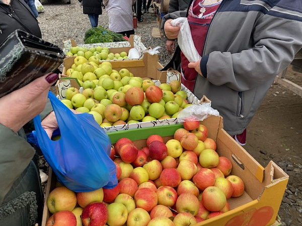 На ярмарки Челнов завезли свыше 800 тонн продукции