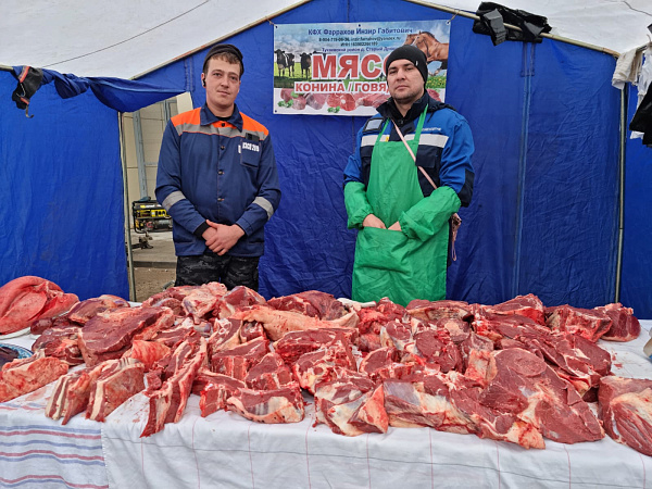 На челнинские ярмарки завезли свыше 1300 тонн продукции