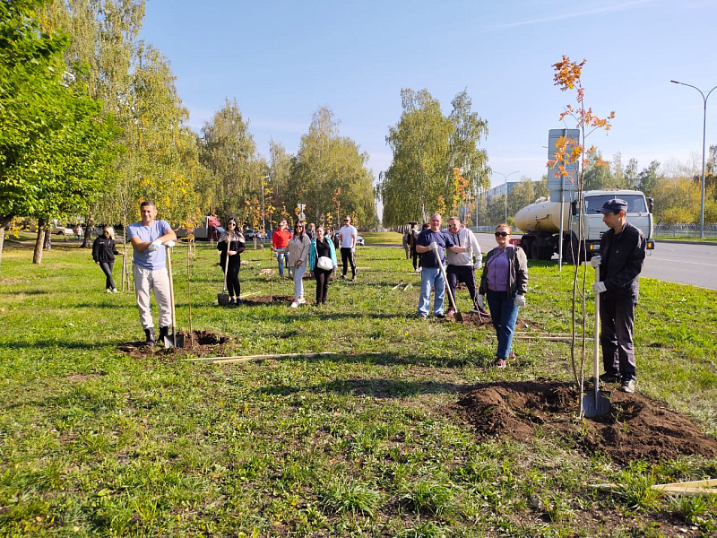 Сегодня в Набережных Челнах станет на 309 деревьев и кустарников больше