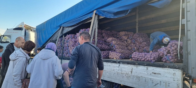 Особым спросом у челнинцев на ярмарках пользуется картофель