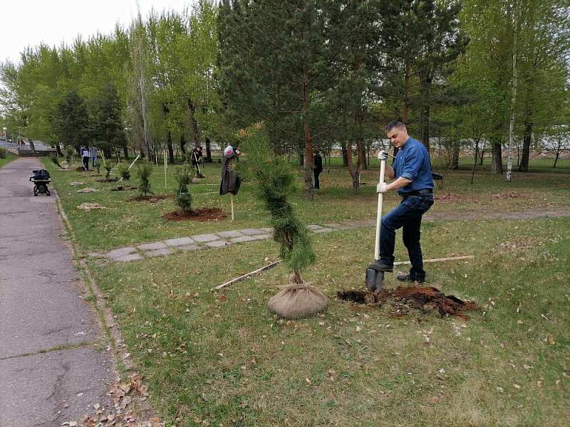 В Набережных Челнах высажено более трех тысяч зеленых насаждений