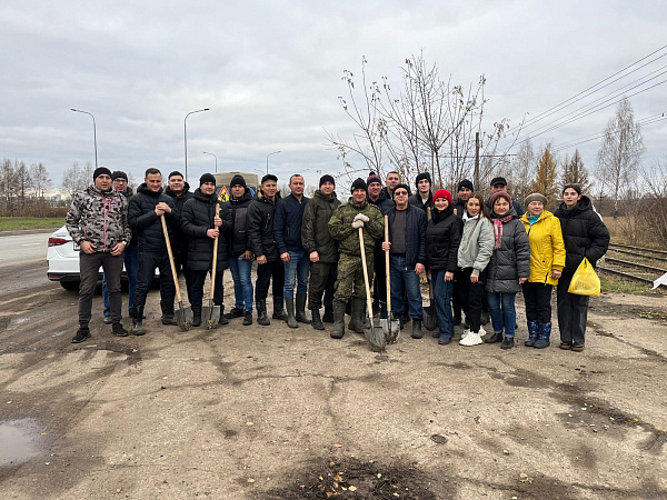 В Набережных Челнах продолжается высадка деревьев