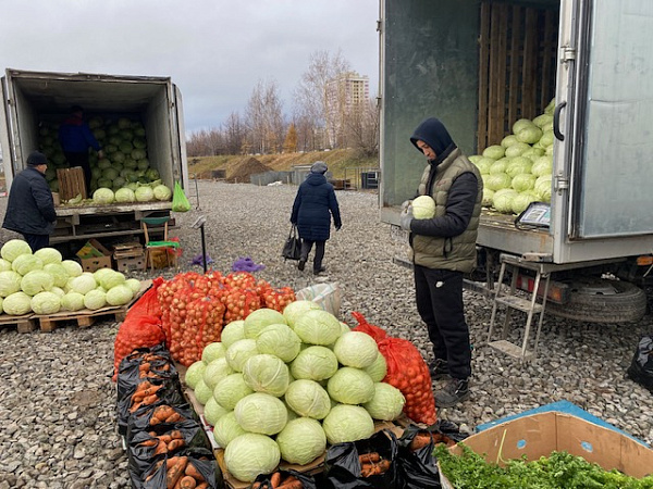 На ярмарках Челнов представлено свыше 870 тонн сельскохозяйственной продукции