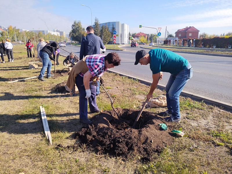 Сегодня в автограде высадили 862 деревьев и кустарников