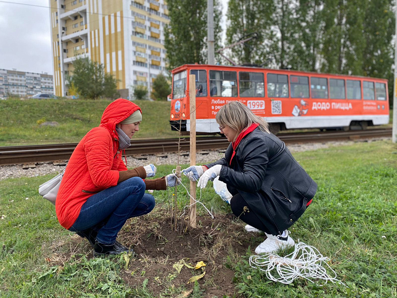 В Набережных Челнах проходит месячник по благоустройству и уборке города