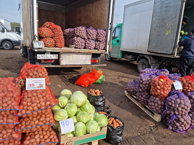 На ярмарки в Челнах завезли свыше 219 тонн продукции